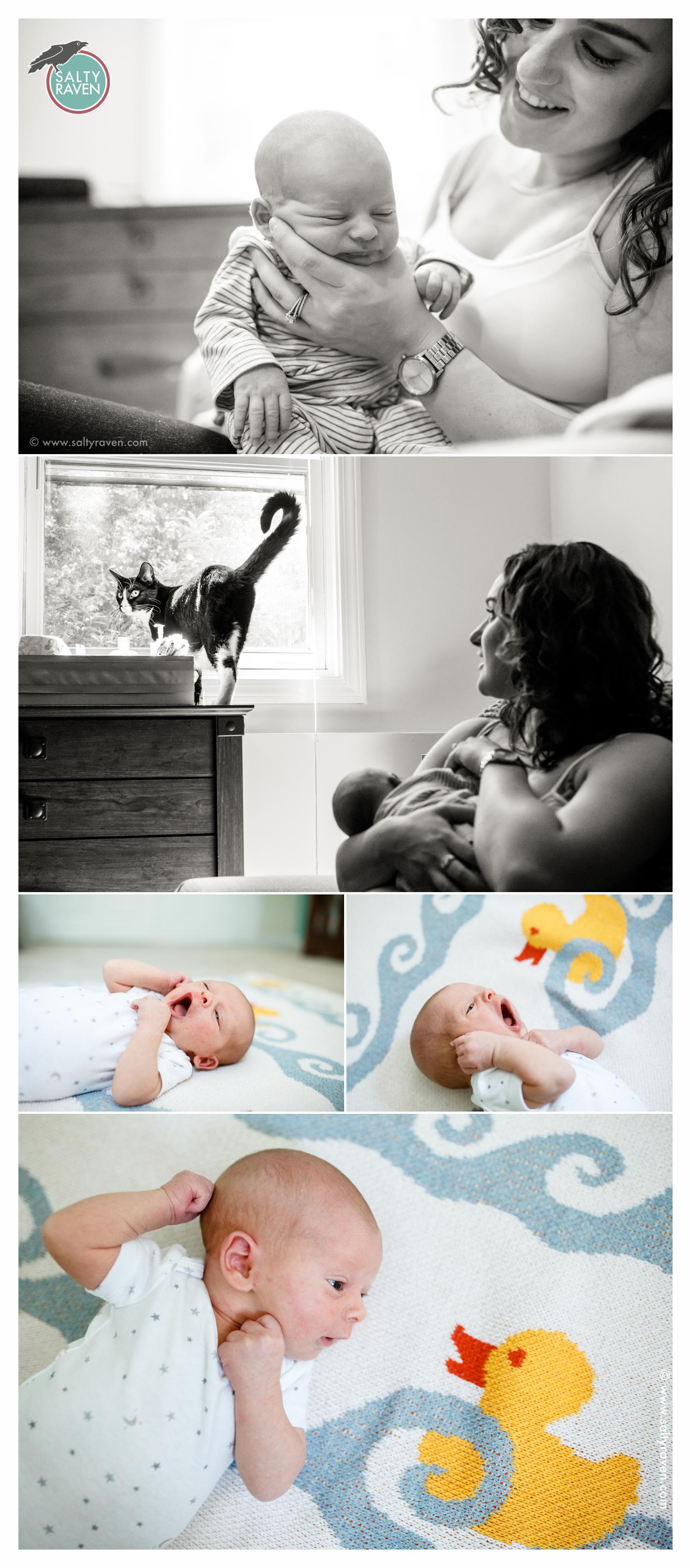Newborn on blanket and a cat in the window.