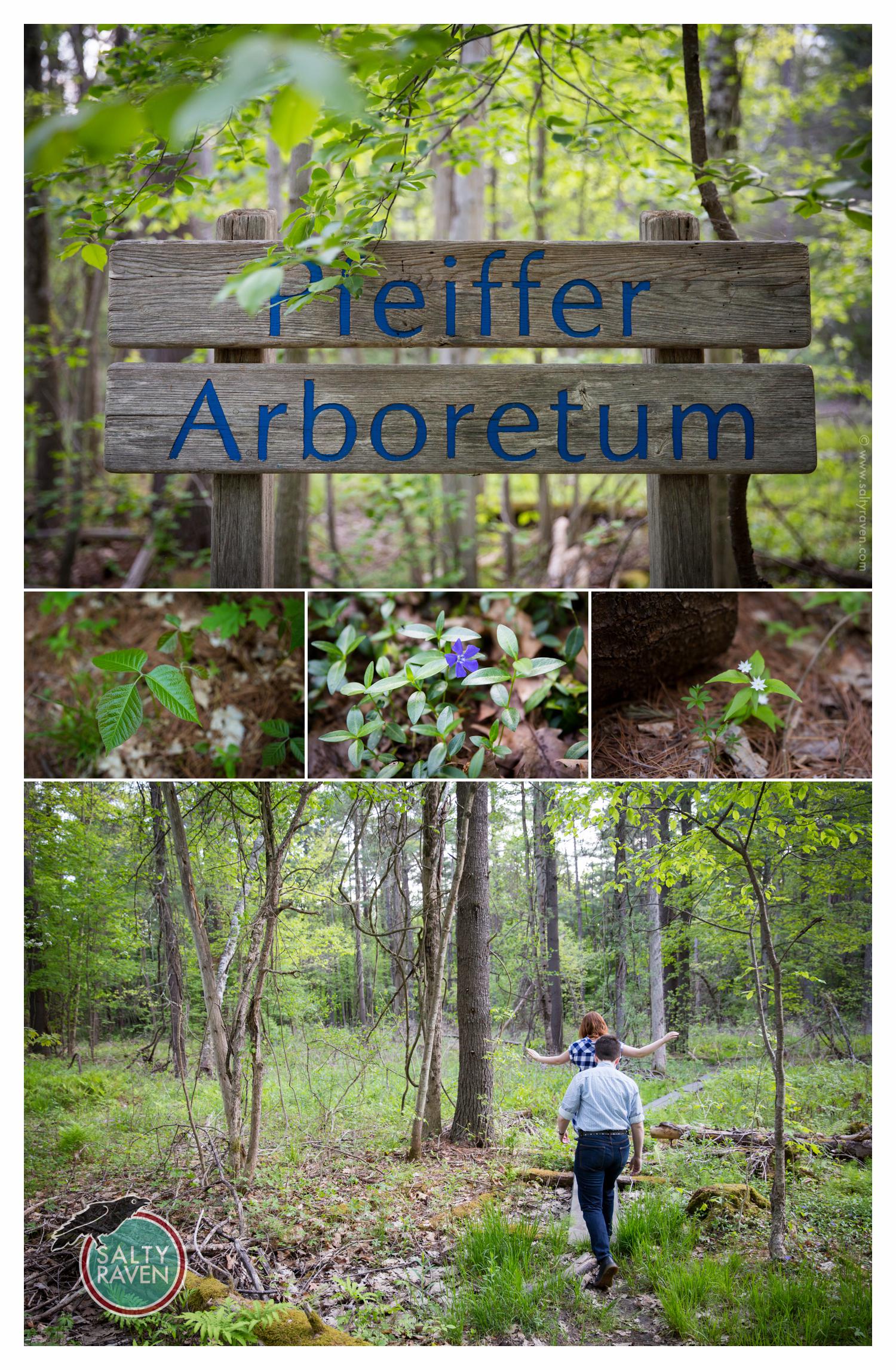 Berkshires Wedding Photographer 4