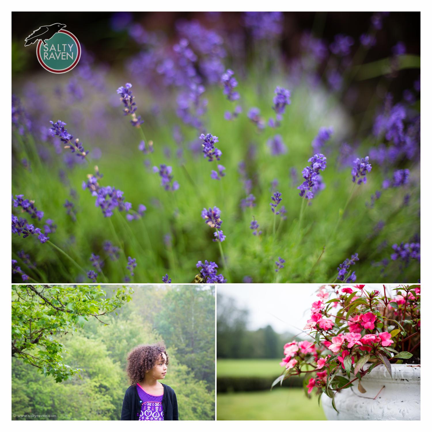 Boston Wedding Photographer 7