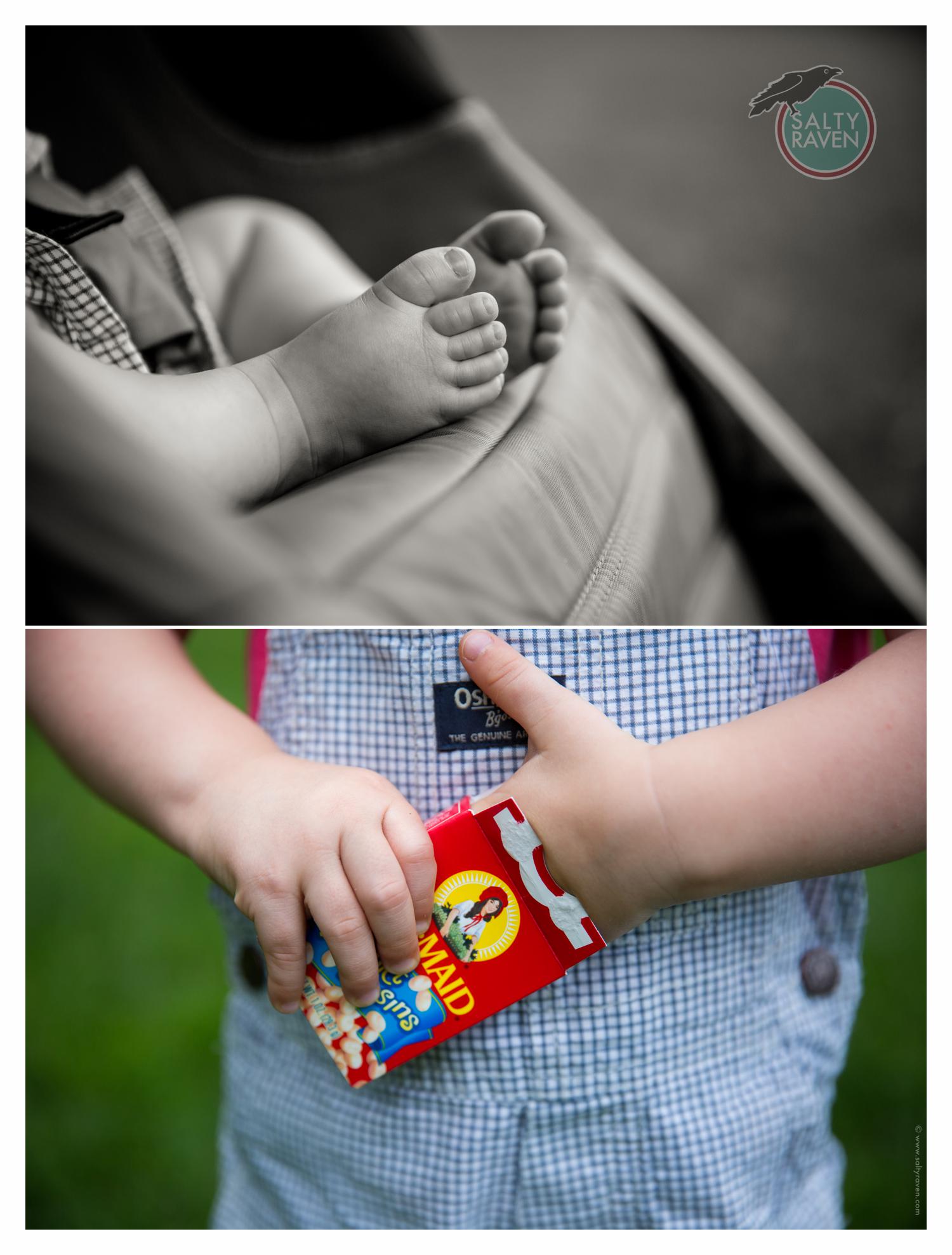Wellesley Family Photographer 6